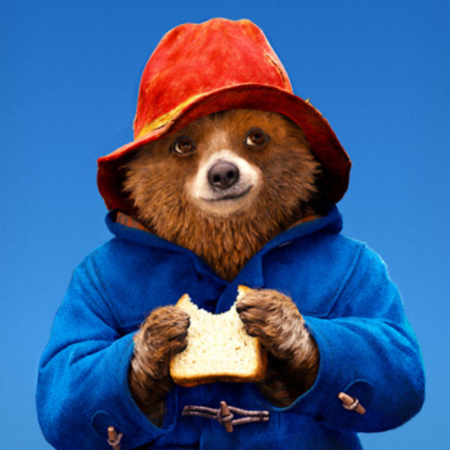 Paddington bear